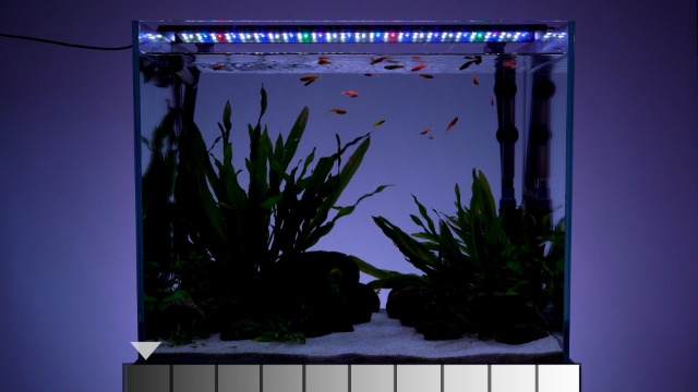 hygger 18W LED Aquarium Light, 18-24 Inch Fish Tank Light with Timer Auto On/Off, Sunrise Sunset Mode, Adjustable Brightness and Colors, Full Spectrum Light with Extendable Brackets for Freshwater - image 8