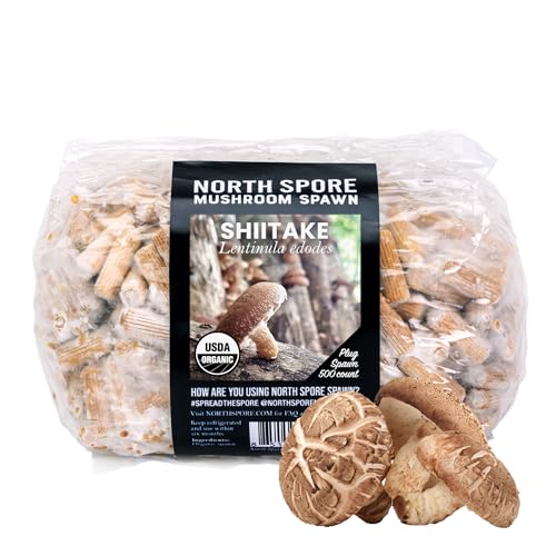 North Spore Organic Shiitake (500 ct) Mushroom Plugs for Logs | Premium Quality Mushroom Plug Spawn | Handmade in Maine, USA | Grow Gourmet Mushrooms Outdoors on Logs | Lentinula edodes