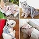 Oiieco 2 Stück Kaninchen Leine, Verstellbares Kaninche Geschirr,120cm Weiches Kaninchen Leine,Geeignet,Kaninchengeschirr,für Kleine Häschen Katze Hunde Und Andere Kleine Haustiere