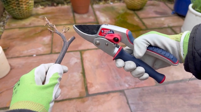 Amazon.com : Spear & Jackson Razorsharp Ratchet Anvil Pruners with