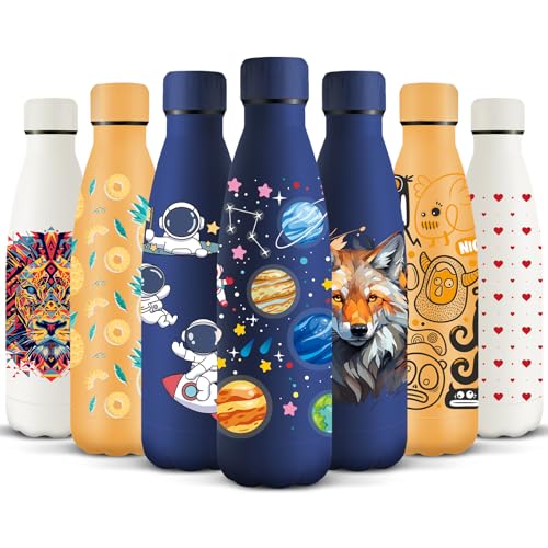 HoneyHolly Botella Termica, 500 ml sin BPA, Botella Agua Acero Inoxidable, Doble Aislamiento, Cantimplora, A Prueba de Fugas, Acero Inoxidable 18/8, Cantimplora Termica para Deportes, Escuela, Yoga