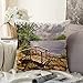 Fundas De Almohada Acuarela Óleo Puente De Madera Río Bordes Rasgados Naturaleza Pintura Parques Colorido Vintage Paisaje Fundas para Cojines Suave Decorativa Fundas Cojín para Sofá Cama 45X45Cm