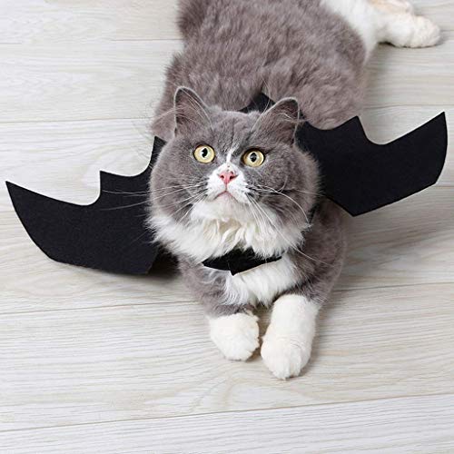 U-M-Halloween-Kostuem-Katze-Fledermausfluegel-fuer-Welpen-Kostuem-Dekoration-bezaubernd-Qualitaet-und-praktisch