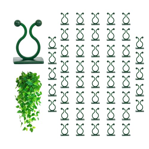 Image of Kyari Plant Clip Self-Adhesive Plant Clips for Climbers (Pack of 50)
