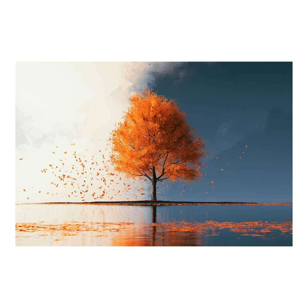 HOQIU Canvas Wall Art Butterflys colorful tree tree poster, landscape wall art, for Living Room Bedroom Bathroom.(Multicolor)-60x80cm Unframed