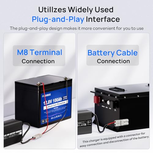 DC HOUSE 12V 20A Lithium Battery Charger, 14.6V LiFePO4 Charger with Battery Quick Connector & LED Indicator, Smart 300W Fast Charging for Boat, RV