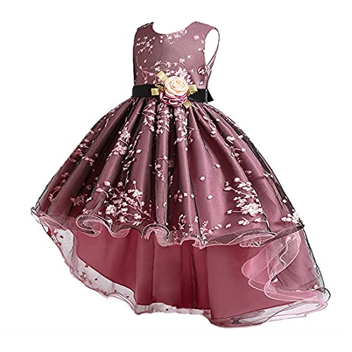 [OWIEOW] LbY hX tH[} ̎q hX O 傫ȃ{ sAm\ t  ܎O(ubN 160)