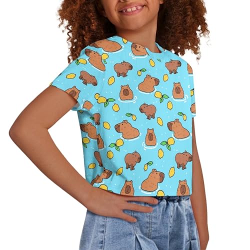 Image of Girls Crop Tees Crew Neck Casual Short Sleeve T Shirts Kids Loose Soft Comfortable Tees Blouses Shirt for Little Girl