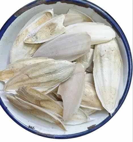 AYURVEDIC ZONE Samandar Jhag - Samundar Jhaag -Sea Foam-Raw Herbs-Samunder Jhag-Samunder Fan-Single Herbs-Jadi Buti (100 gm) (B0CH8DPNHY) Amazon Price History, Amazon Price Tracker