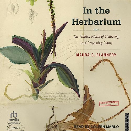 In the Herbarium by Maura C. Flannery episode artwork