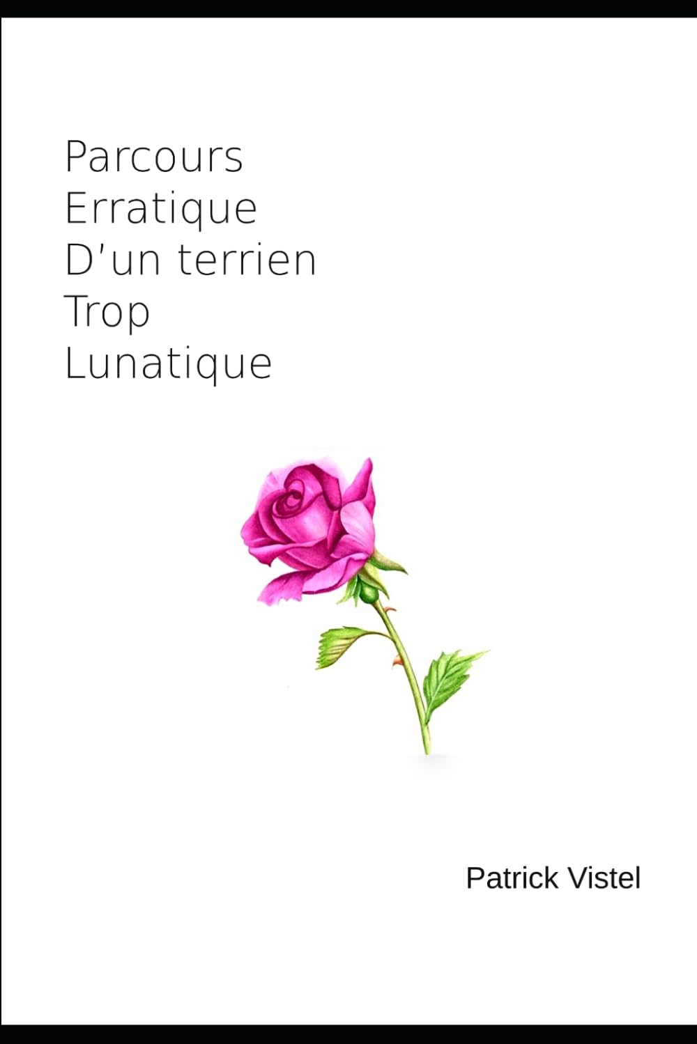 Parcours Erratique D’un terrien Trop Lunatique