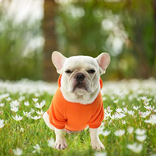 XiXiRan Hunde Hoodie: Baumwolle Hundemantel, Haustier Hund Warm, Mit Kapuze, Katze Kleidung, Winter (XXL, Orange)