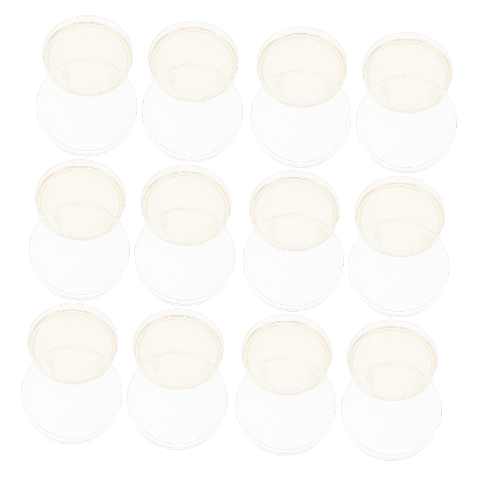 20 Piastre di Petri di Plastica Sterili Agar Nutriente Preversato 9 Cm, per Coltivazione di Funghi e Esperimenti Scientifici di Laboratorio