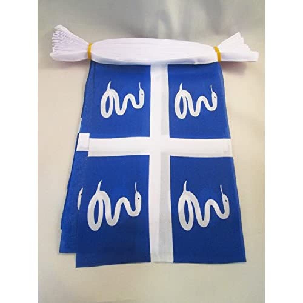 AZ FLAG Martinique Bunting Flag, 20 Ft Garland with 20 Small French region of Martinique Flags 8'' x 6'', 100% Polyester String Pennant, 6 meters — image 1