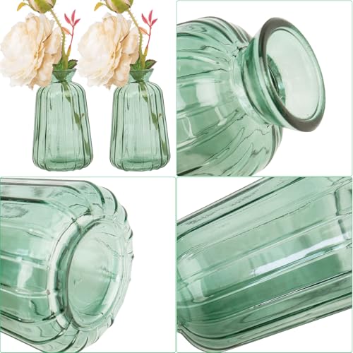 6 Stück Kleine Vasen für Tischdeko Mini Glasvase Set für Tischdeko Hochzeit (11× 6,5cm, hellgrün)