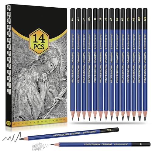 Daerthotk Pro Pencils Drawing Sketching Set 14 pcs Graphite (12B - 6H) Kit Soft Pencils Ideal Gift...