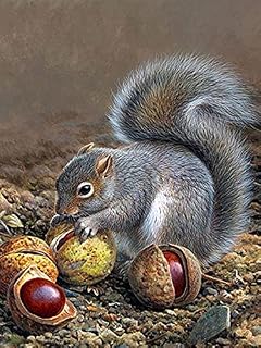 Sugamm DIY Diamond Art Kits Squirrel Round Full Drill, 5D Diamond Painting Animal Kits for Adults & Kids Beginner Rhinestone Embroidery Cross Stitch for Home Office Wall Decor 30x40cm