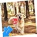 BESPORTBLE 1set Interactive Dog Toy Set Creative Flying Saucer for Chase Engaging Training Tool for Dogs Play for Pets Random Style