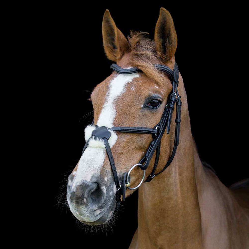 Cameo Equine Anatomic Grackle Bridle Pony Brown