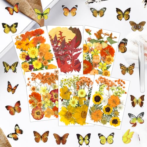 Image of 169Pcs Fall Dried Pressed Flowers for Resin, Real Natural Dry Floral Butterfly Decor for DIY Art Crafts, for Epoxy Resin Jewelry Molds Candle Jewelry Crafts