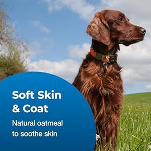 Pet-Ag Fresh ’n Clean Oatmeal ’n Baking Soda Shampoo – Tropical Fresh Scent – 64 oz – Nurtures Dry, Itchy & Sensitive Skin with Vitamin E & Aloe – Strengthens & Repairs Coats – Soap Free