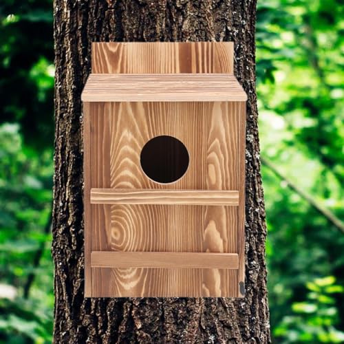 Boîte à oiseaux extérieure en bois déco pour hibou de balcon