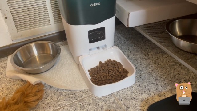 Dokoo Automatic Cat Feeder App Control - Wi-Fi Enabled Smart Cat Food Dispenser with Portion Control & Timer Setting… - Image 8