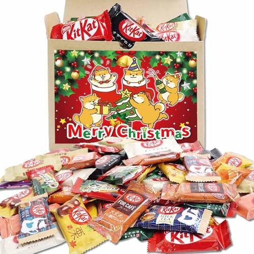 NX}X َq lߍ킹 v[g LbgJbg Hה _ Mtg ČNX}X (48)