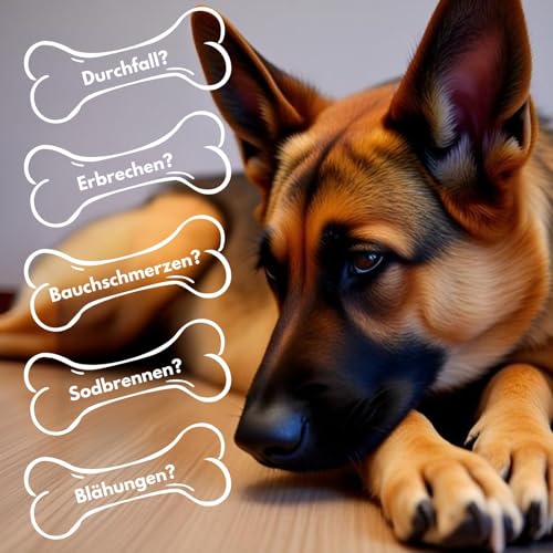 Futterkohle für Hunde 200 g – unterstützt Magen-Darm-Funktion, reduziert Durchfall & Magenbeschwerden, sehr ergiebig, neutraler Geschmack, vitaler und glücklicher Hund, einfach ins Futter mischbar