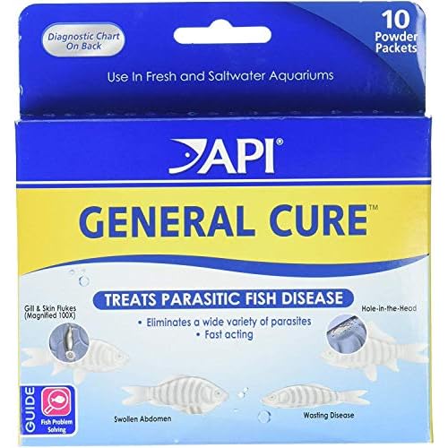 API General Cure Freshwater and Saltwater Fish Powder Medication 10-Count Box (2 Pack)