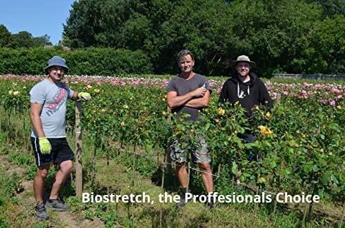 Biostretch Zachte Plantenbinders voor Huis en Tuinplanten - Milieuvriendelijke Rekbare Groene Plantensnaar en Tuindraad 2 Stuks (Bruin Bioband 20M x 1) - Afbeelding 4