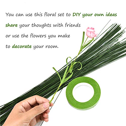 Floral Arrangement Kit,9 Pack Floral Arrangement Tools Include Floral Wire Cutter Shears, 4 Floral Tape,100 Pcs Stem Wire, Paddle Wire and Double-Sided Tape for Florist and Floral Design Lovers