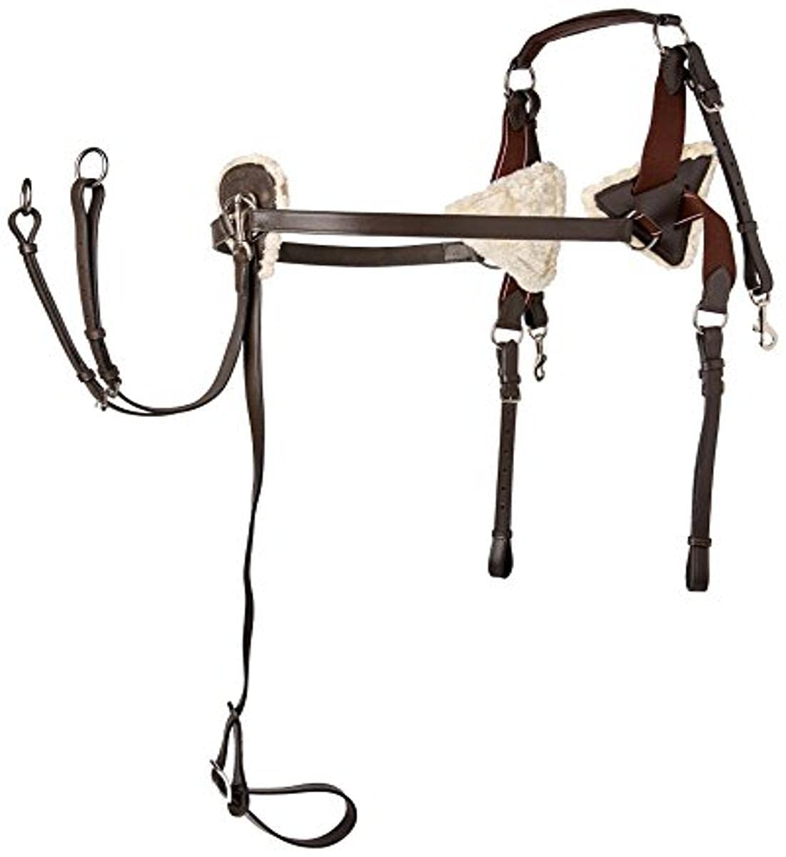 Cwell Equine Nuevo 5 Puntos DE Calidad DE Cuero Y Pastillas DE PRESIÓN X Completo/Completo/COB/Pony (Bolsillo), Todo…