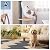 CUCOS 10Pcs Carpet Tiles Peel and Stick, 12"x 24" Thin Floor Adhesive Tiles Mat, Rectangular Carpet Non-Slip Tiles, Waterproof Carpet for Living Room Bedroom Light Gray