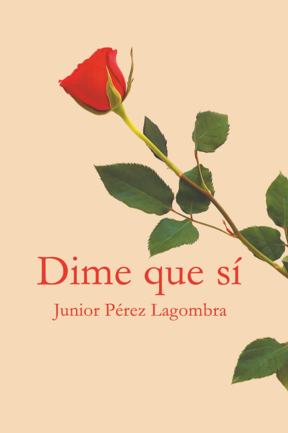 Dime que sí: Romance de una atracción irresistible