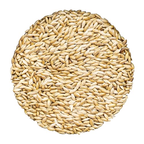 Unida Alpiste Canary Seed for Birds 10 lbs Bulk Bird Food 100% Pure & Natural Non-GMO Bird Seed No Additives