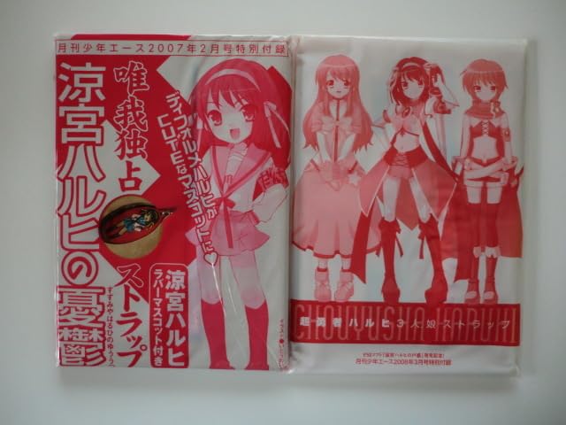 涼宮ハルヒの憂鬱 月刊少年エース 特別付録