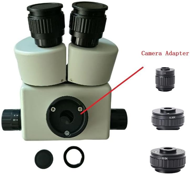 人気 マディソンブルー コットン スウェット カーキ 02 トレーナー