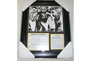 Franco Harris Immaculate Reception T-shirt