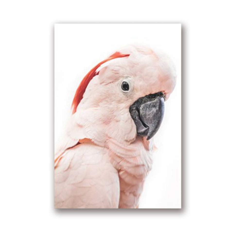 Woplmh Pink Canvas Painting Cockatoo Australian Bird Print Tropical Animal Poster Cockatoo Picture Home Wall Art Decor-30X40cm(11.8"X15.7") No Frame