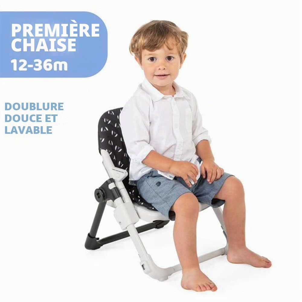 Chicco Chairy Rehausseur Siège Bébé, Rehausseur Convertible en Chaise Enfant Évolutive Portable et Réglable, avec Fermeture Compacte et Plateau Amovible - de 6 mois à 3 ans (15 kg) - Sweetdog