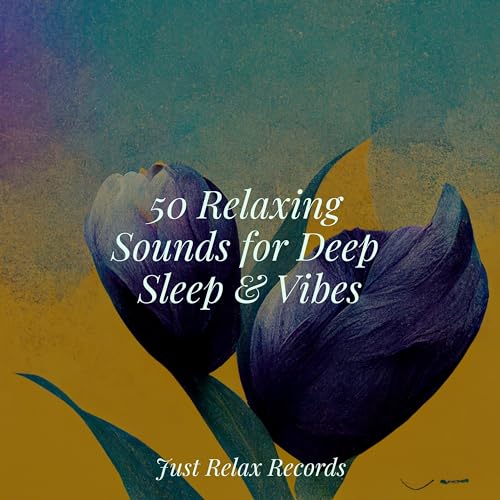 Play 50 Relaxing Sounds for Deep Sleep & Vibes by Brain Study Music ...