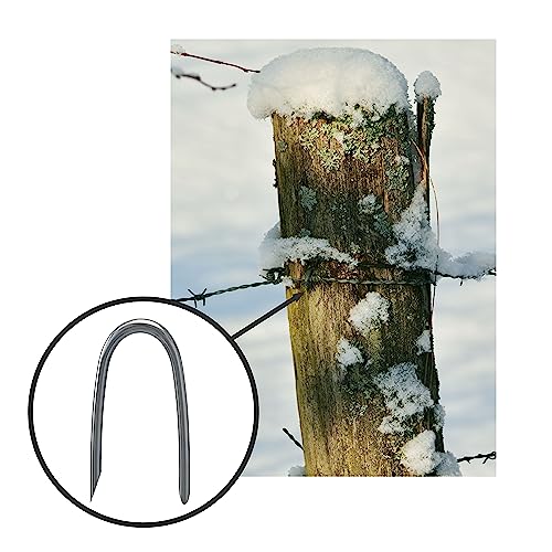 100 Stück Stahlkrampen 2,5x12x25mm – MADE IN GERMANY – rostfrei, Stahl verzinkt – Krampen für Zaun, Befestigung Maschendrahtzaun, Staketenzaun Befestigung, U Nägel, Staketenzaun