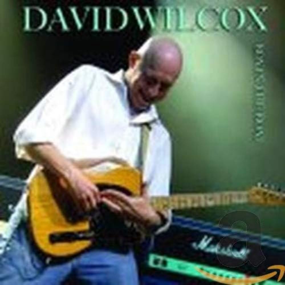 Boy in the Boat [Audio CD] David Wilcox