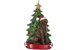 Chocolate Lab Labrador Wearing Santa Hat with Christmas Tree Ornament
