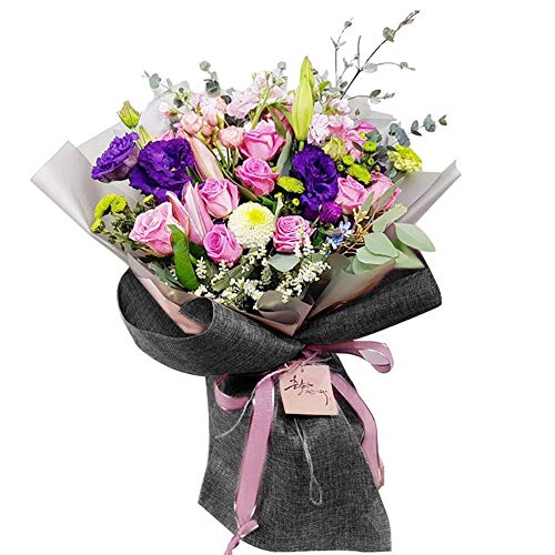 bsO ԑ z[ bsOy[p[  W[g  n jɂ DIY    pbP[W a LO NX}X v[g H|i   fR[V ԉ MtgVbv  Ɩp 50cm