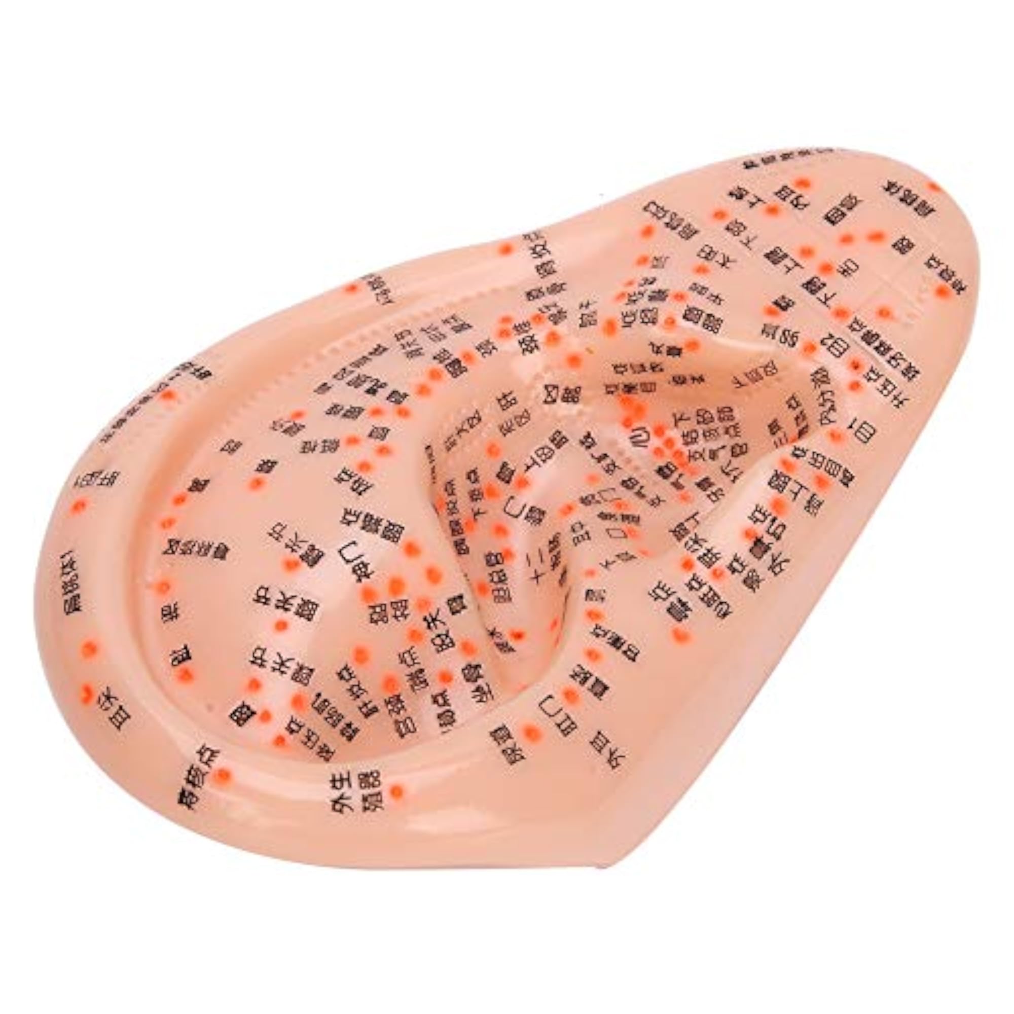Human Ear Acupuncture Points Massage Tool