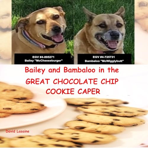 Page de couverture de Bailey and Bambaloo in the Great Chocolate Chip Cookie Caper