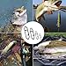 Kiqeres 200 Pcs Fishing Power Speed Clips (S:120, M:50, L:20, XL:10), High Strength Stainless Steel Speed Clip for Fishing Lure Quick Change, Freshwater Saltwater Lure Connector Tackle