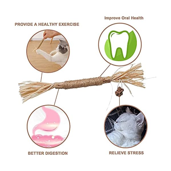 Dorakitten Katzenminzen Sticks, Katzenminze Spielzeug Matatabi Katzen Kauhölzer Silvervine Sticks für Katzen Zahnpflege & gegen Mundgeruch Natürlich Sicher Katzensticks Kausticks Set – Bild 7
